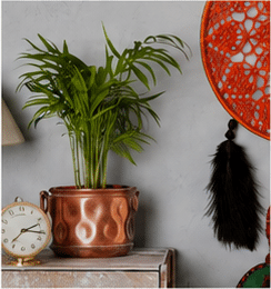 Miscellaneous unique gift items
