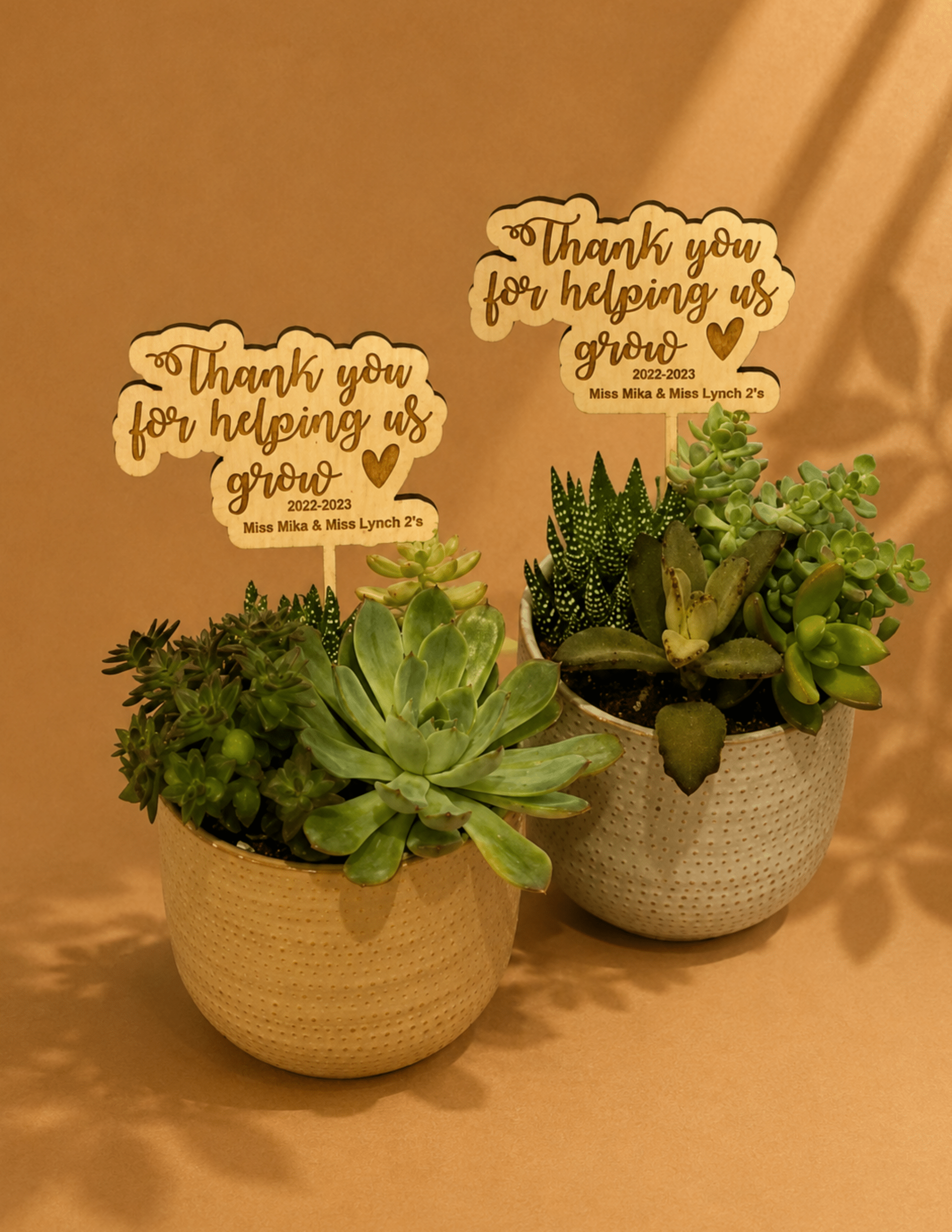 Personalized wooden teacher plant stake with "Thank You for Helping Us Grow" message for classroom appreciation gifts.